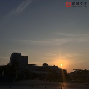 美国大片ppt免费观看
